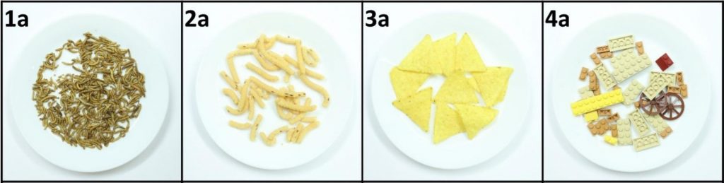 IMAGE showing four example plates from the buffet.
