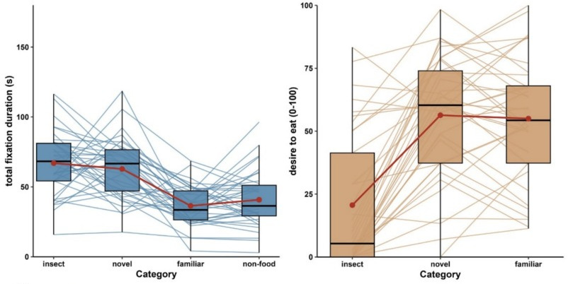 IMAGE showing larger dwell times for insect snacks and other novel snacks compared to familiar snacks and non-foods. Also shows low desire to eat for insects, but not for the other novel or familiar snacks.